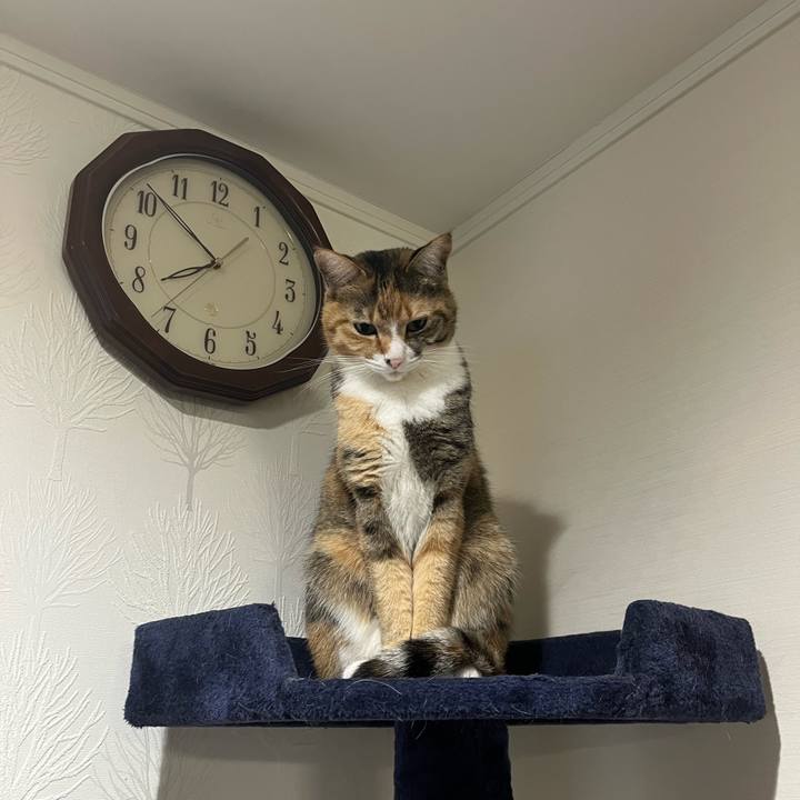 C8b79be4 91c7 4111 8d93 f2644901a25f 1705045544998