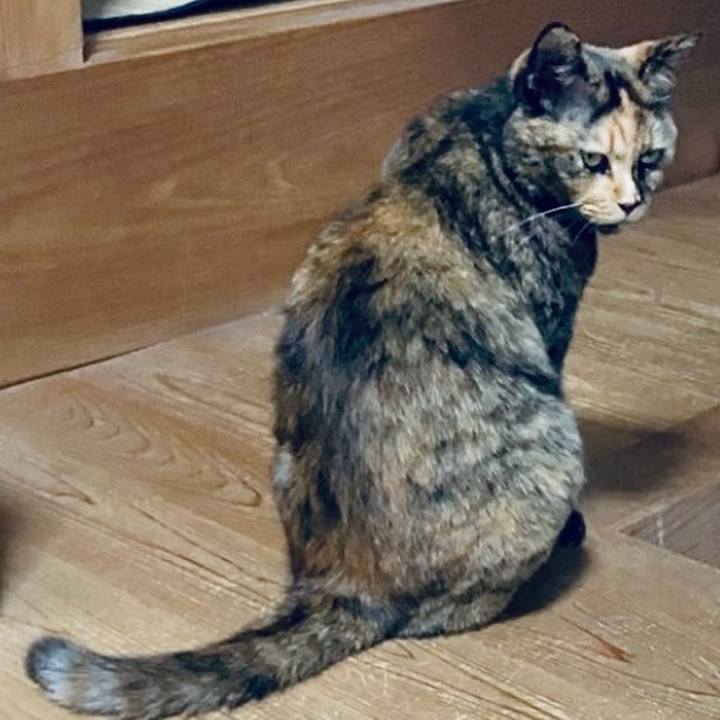 C8b7d786 c0ad 4ab2 92ac eb8d6fa53fba 1729502846832