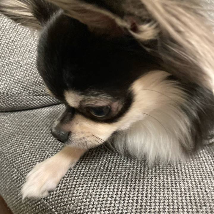 C8b84124 9b4e 4545 831a 23dcd64e9ac8 1610204343183