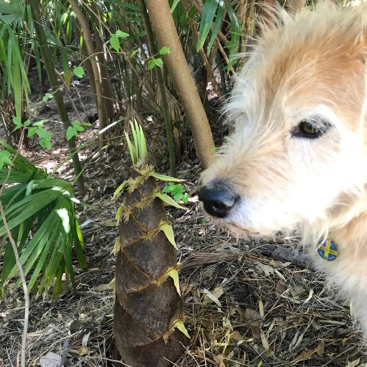 C8b84683 46bf 44d7 80c9 eff5853edaf3 1587294688731