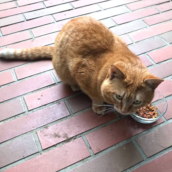 C8b8654f 7dad 48c4 974d 6737e913bd31 1618205988144