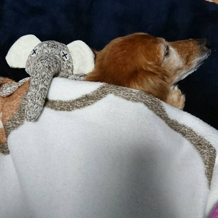 C8b86d5a fcbf 4864 a369 87db8c7c632a 1512049428039