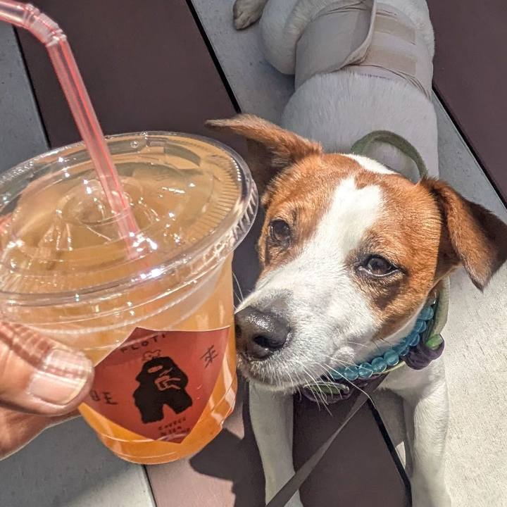 C8b86da4 7019 4a40 839e 2cb0cae50a15 1775268390728