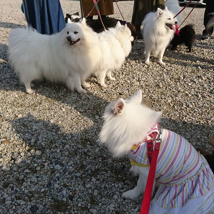 C8b8cf05 9c3f 41d8 99aa e4aec380fc20 1539509151767