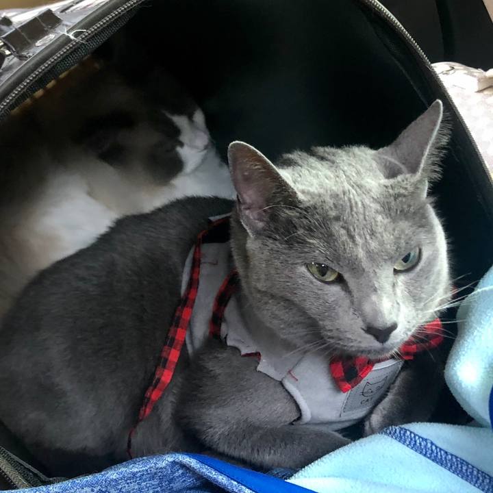 C8b8f0d4 2c83 42af 8f13 945e57fa35e8 1622274043935