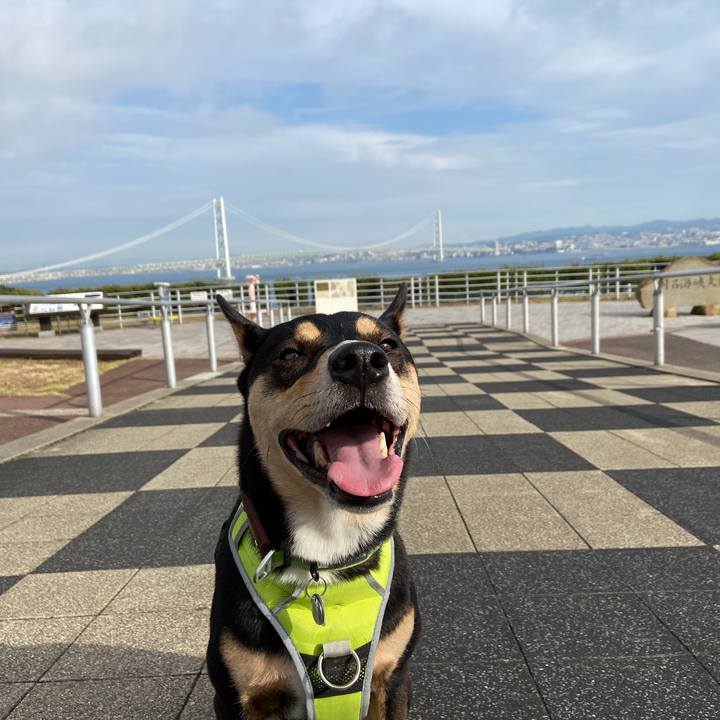 C8b8fd2a 4007 4af5 9aa8 cbc511df1cd1 1635327394717