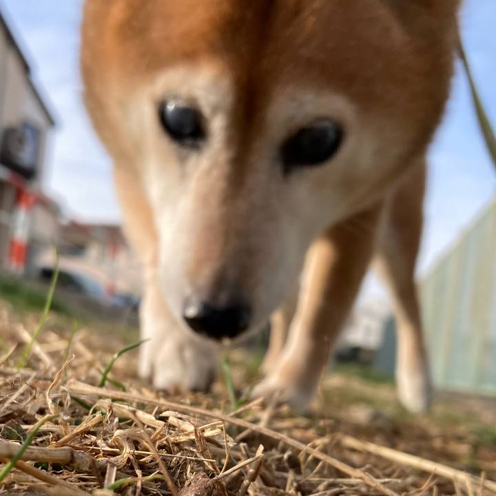 C8b91629 ae16 4cf1 97c0 9ec2828280e0 1707977664256