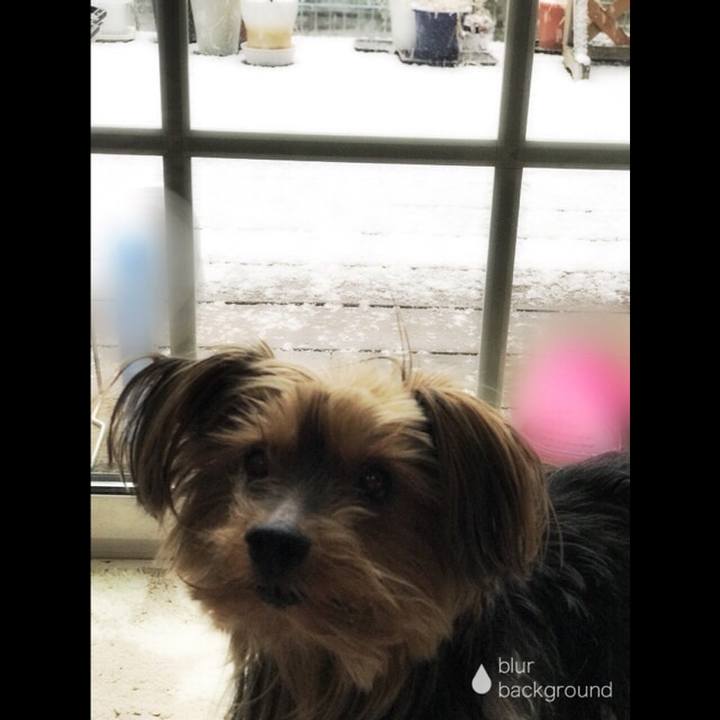 C8b92c97 c8af 47e5 8b84 f06a64035681 1516596630027