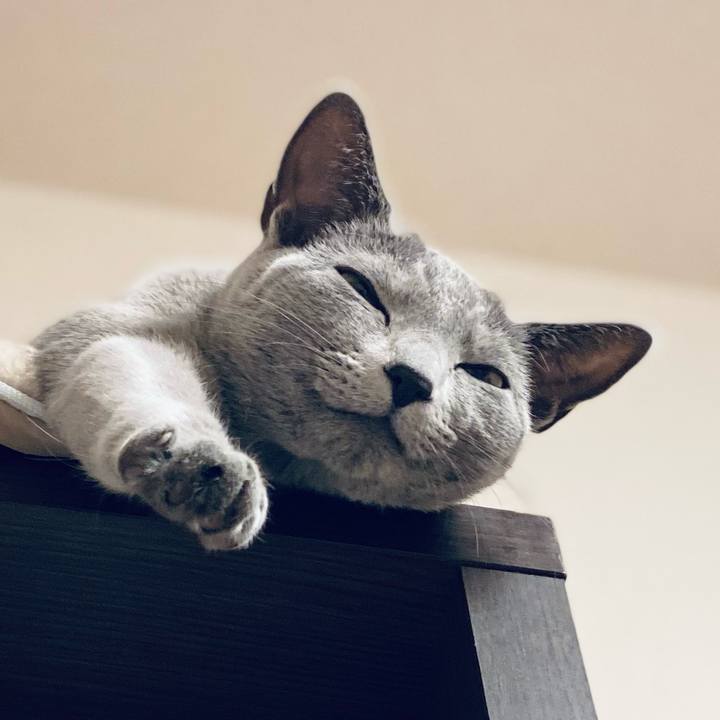 C8b932d3 1bf4 4fcc a613 ee73ef5a0b2c 1637480625049