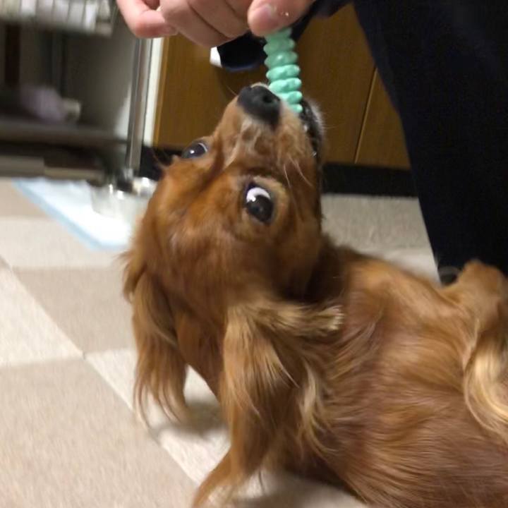 C8b941ce e8de 4793 94c3 9ba4ad0e7d92 1542723159550