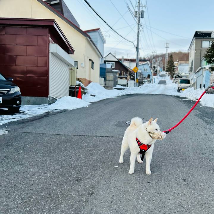 C8b9527f b437 417e a988 3b401a42b3e6 1766442863337