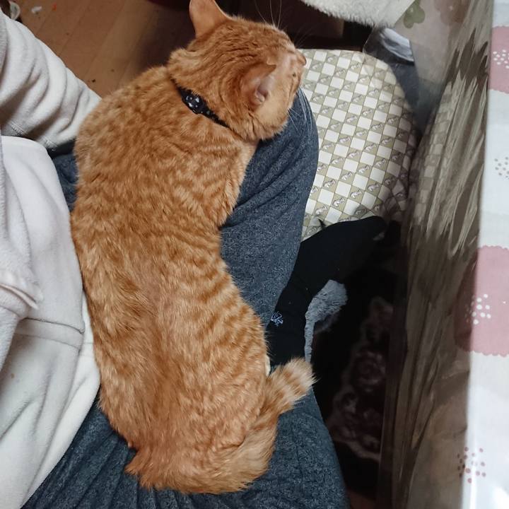 C8b95d89 fda1 45d4 9685 3e720464f6e4 1641018853232