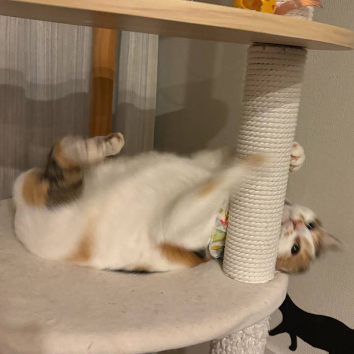 C8b97f26 1e12 4ad7 b612 f17b54cdf7d0 1773790488428