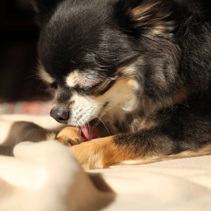 C8b98128 55fa 4997 9fd5 31588f119778 1545571625673