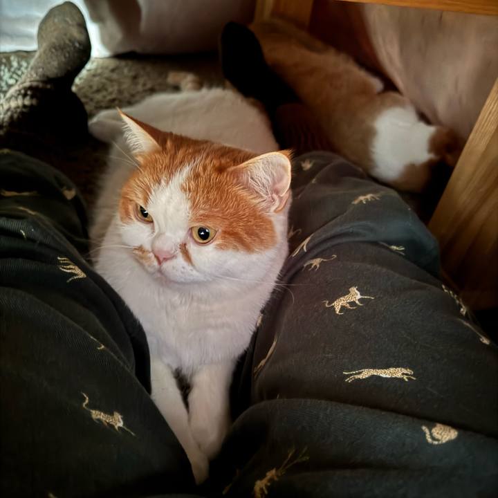 C8b9961f c51f 4350 abf5 6017781db360 1764852516081