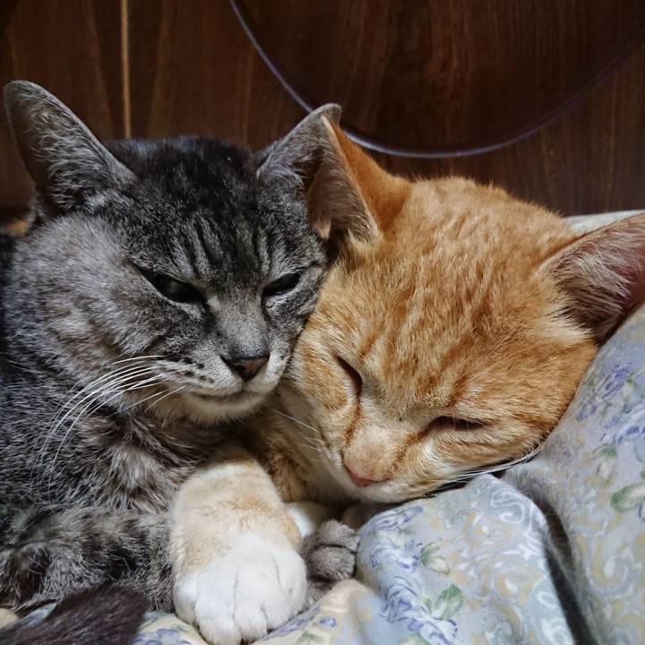 C8b99f32 a054 46a1 b5fe 6a3e4f0ed8df 1581942960335