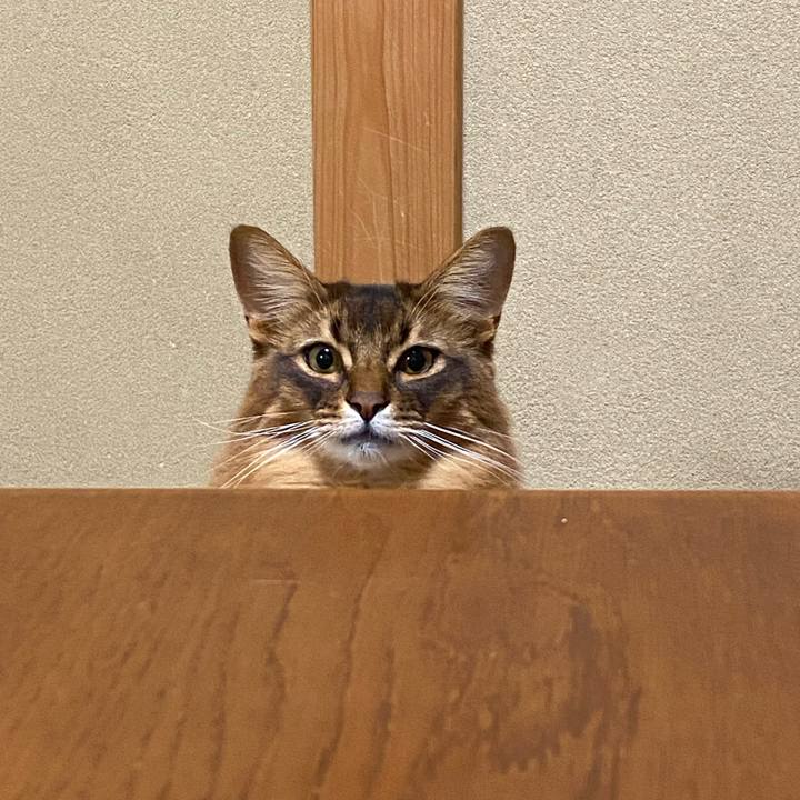 C8b9cf51 149c 4652 b656 f7917b497516 1641641550142