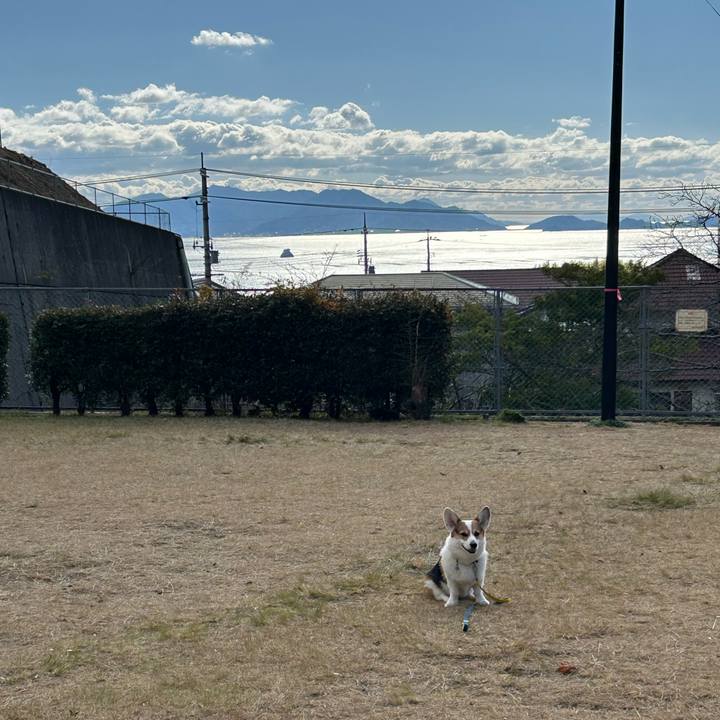 C8b9d580 ce7e 48e0 96b9 4170138e6fb1 1766462333696