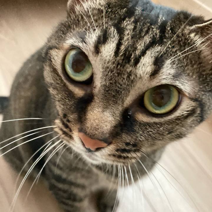 C8b9db79 a1dc 42d3 a65f 14a636fe54f3 1657788045528