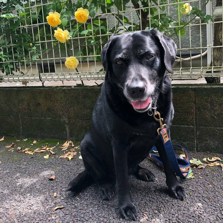 C8b9f52d dbe9 4959 9a80 55506518eb3c 1557883649489