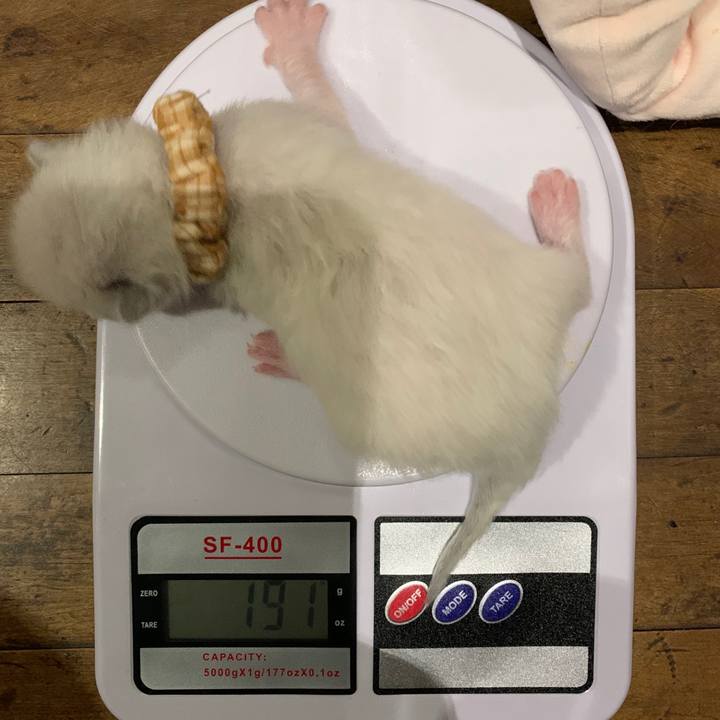 C8ba420a 8fce 4250 a099 399291195094 1638483668910