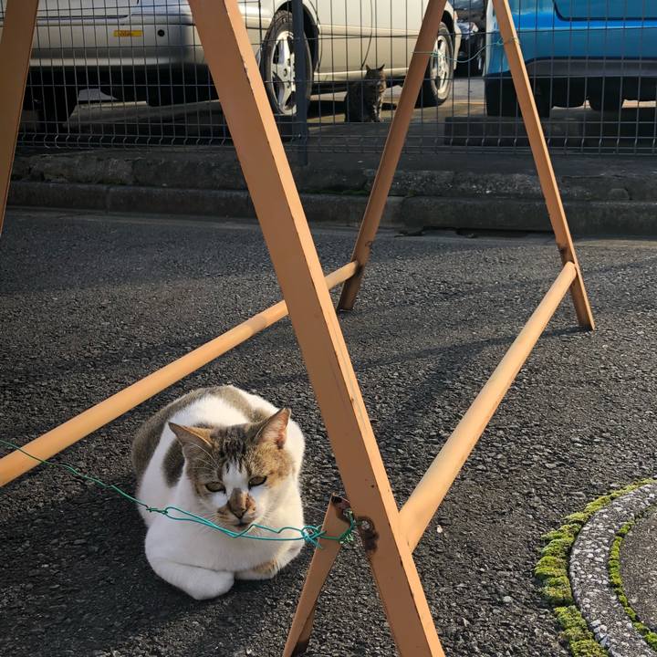 C8ba45e6 06fc 45d7 8771 564f42c75e2f 1540787909898