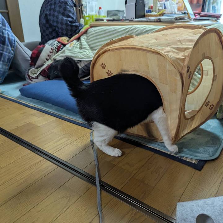 C8ba6c2f 56b8 4ee7 95ad dd65e484ae66 1742020903313