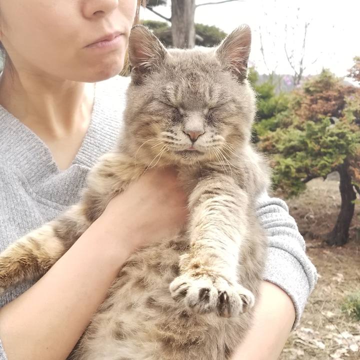 C8ba73b4 46b9 4920 b544 4a214495055e 1556954941719