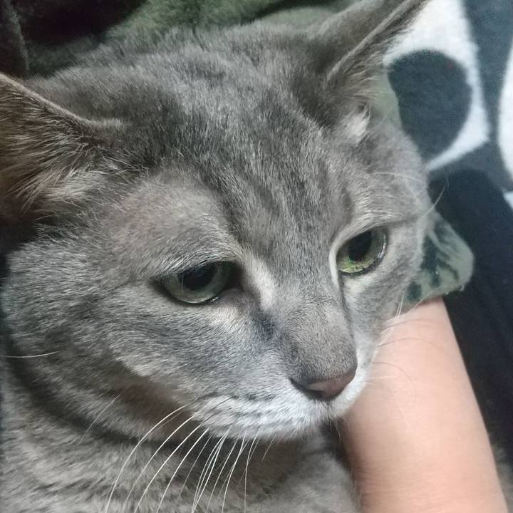 C8ba9b4c aeca 41b0 b5b9 c9d270019369 1641386454417