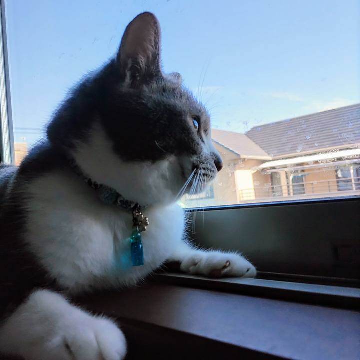 C8ba9fd1 e1ed 4d57 af8d 11ad76d2bd6a 1723337776127