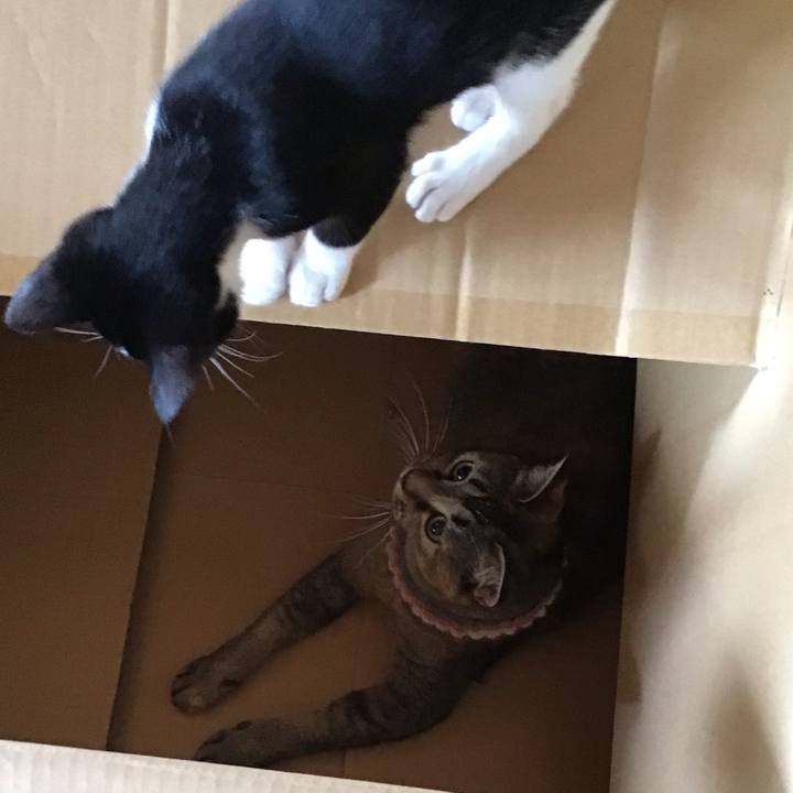 C8baadc0 3d65 4f34 acdc 3b9afee08686 1626759688000