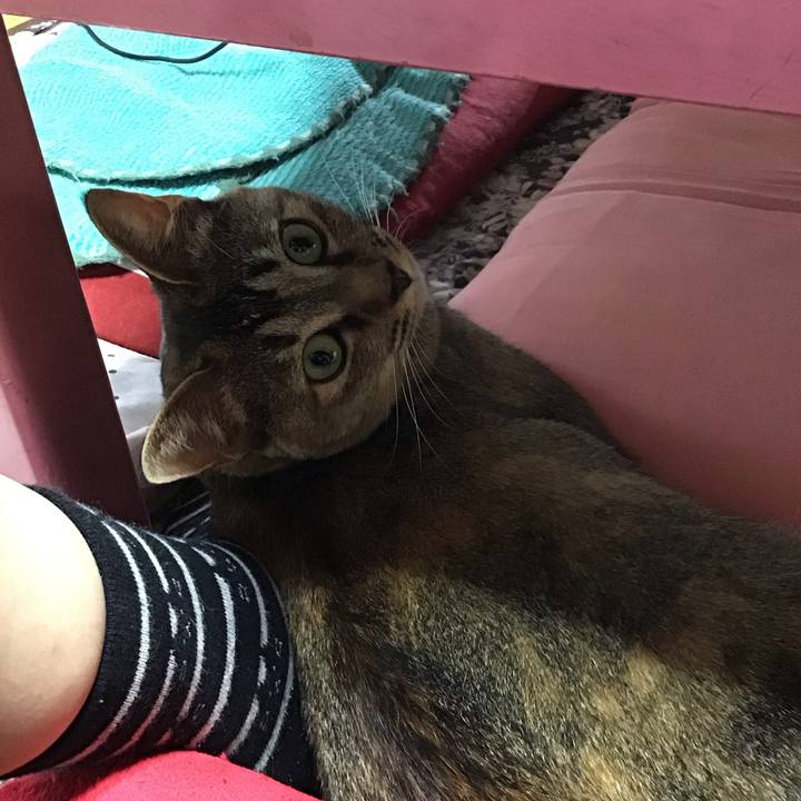 C8baba14 4768 4bef bfa5 dd95d2e9a122 1594880037172