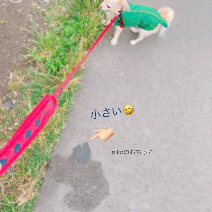 C8badad8 0726 48aa b6d7 b0819fec740c 1625054965386