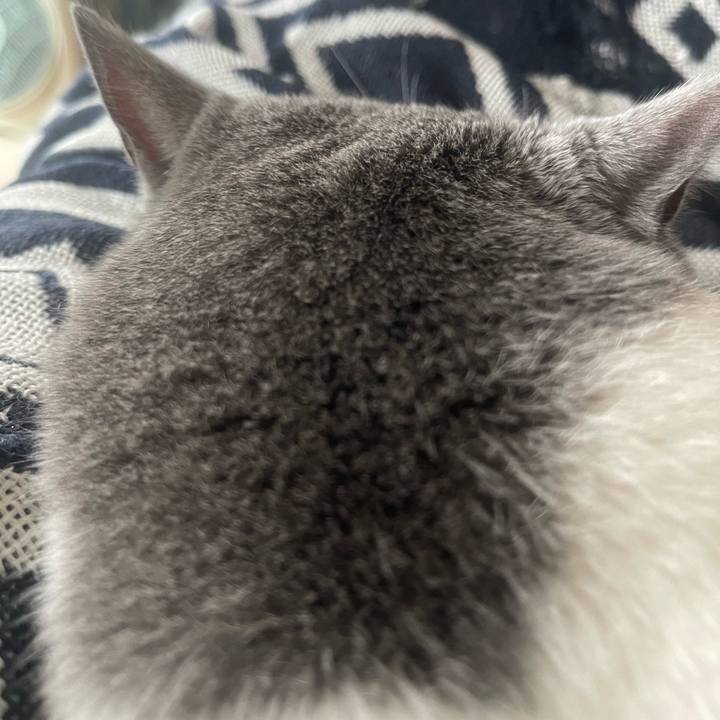 C8bae273 36c7 493e a524 b4de7df91149 1722758722324