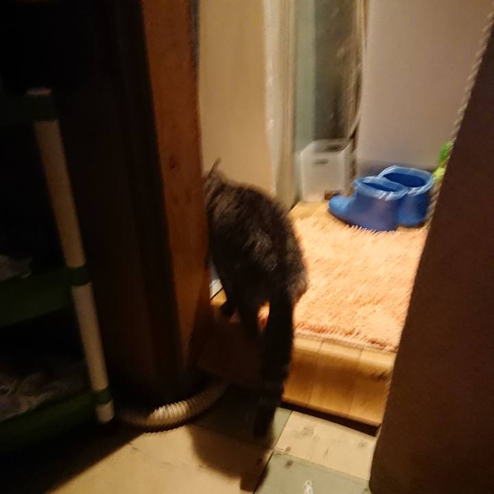 C8bb0095 5c15 4079 a3d1 4df68998a61e 1580722621503