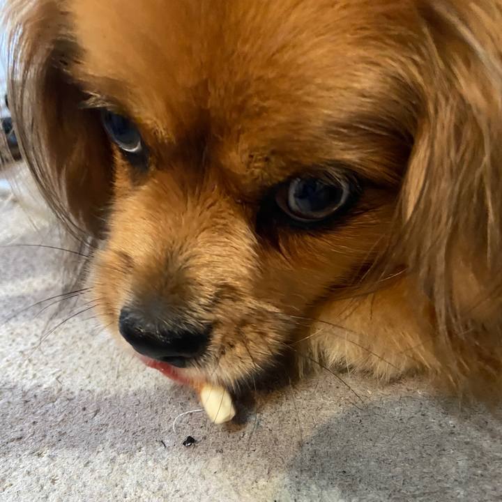 C8bb07db 1d62 4ebc 94af 644a6770d626 1625607108370