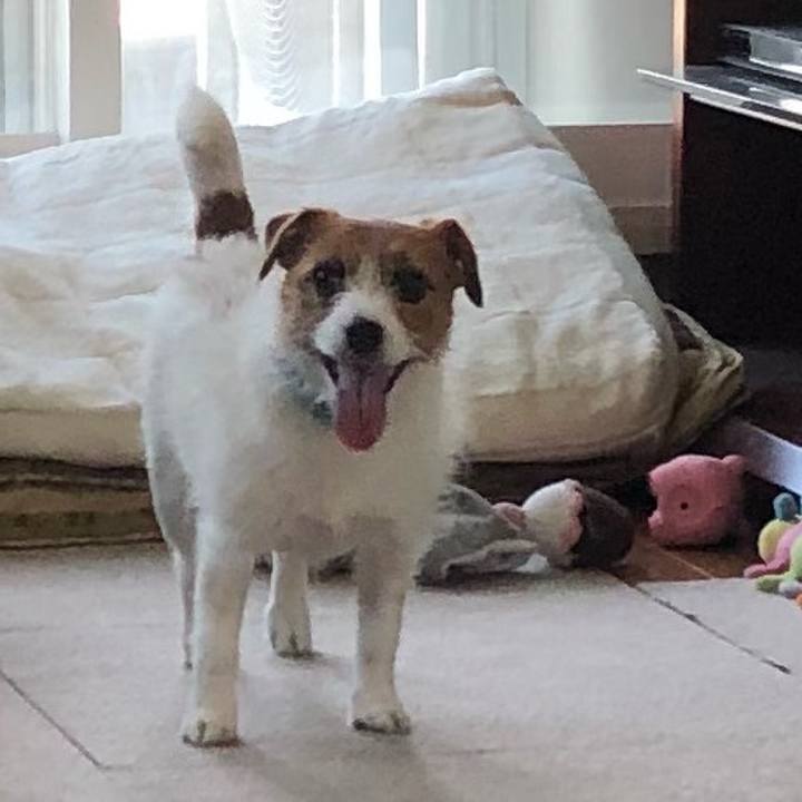 C8bb2b6f 2a06 444a 8ba8 1e7e5c9fc229 1525501113443