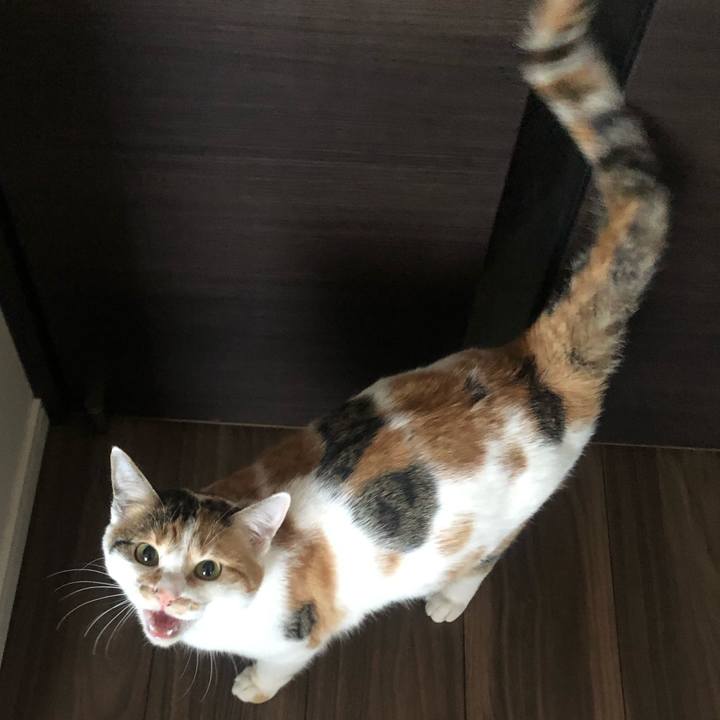 C8bb3c9a 6f45 4271 b800 6fb0aa00a30b 1580945428177