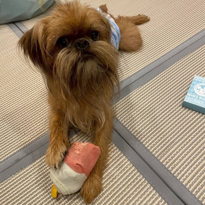 C8bb914b 9b92 4e8a 9b41 8b5f79a45d14 1754228634469