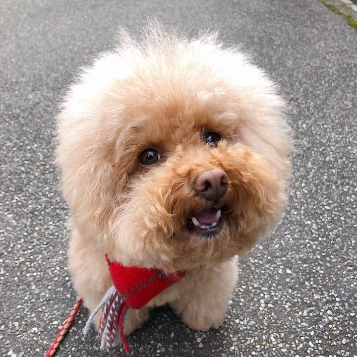 C8bb9df1 0d49 4738 bc77 a88d18c41233 1543313432501