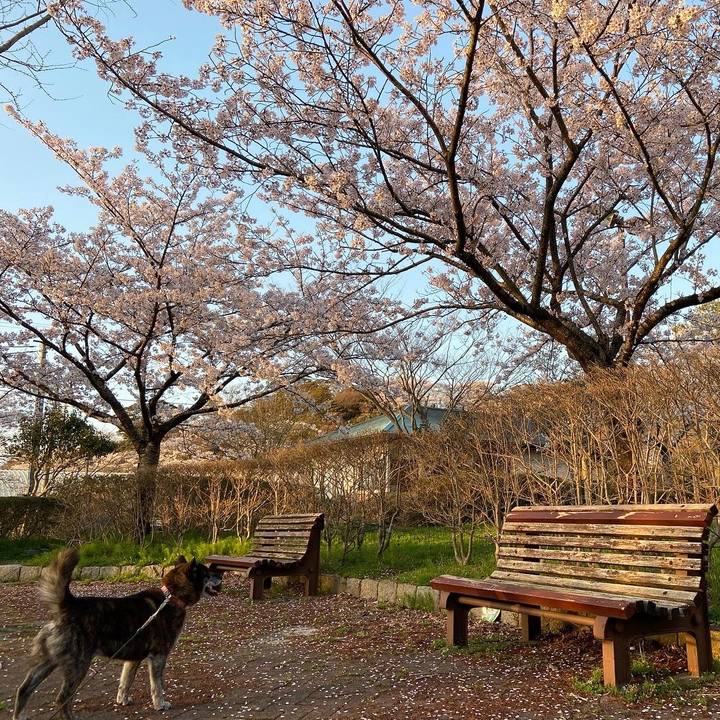 C8bba4fb 4576 4e06 a1b0 7ebf83e94d30 1617631214098