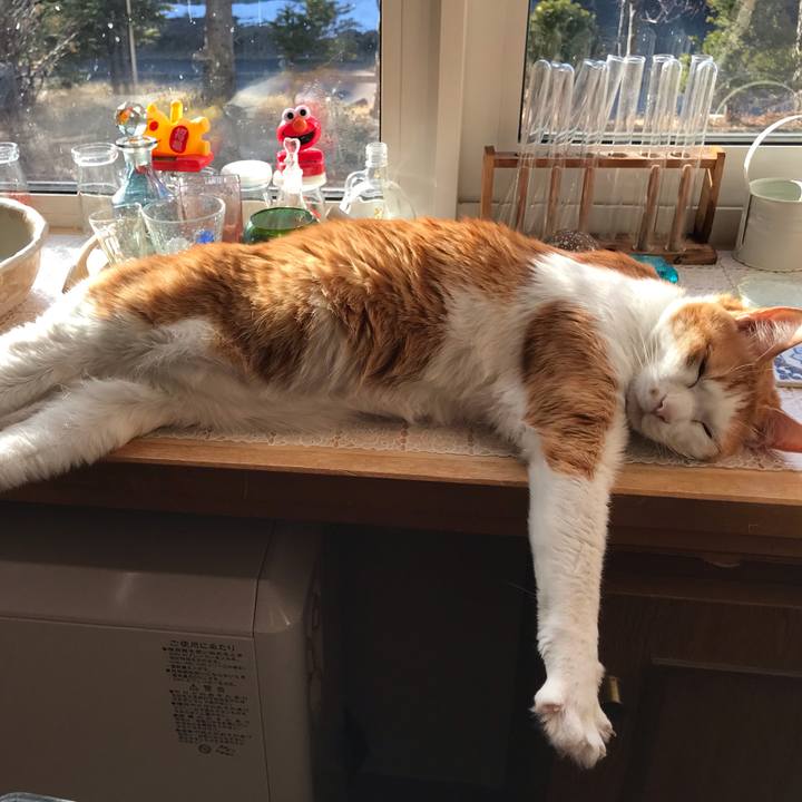 C8bba88d cb49 4762 a35d a30630a631bd 1587073268958