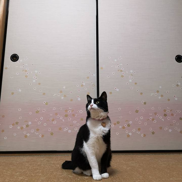 C8bbf81f c874 44f9 b577 3d63e7adbe35 1570940398945