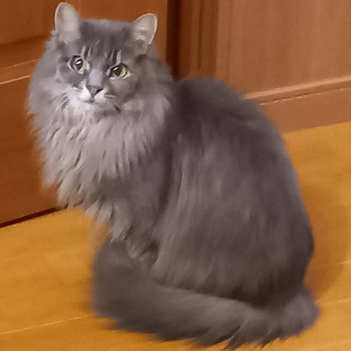 C8bbfb74 43ad 43af bae7 bee196e85c66 1674857714016