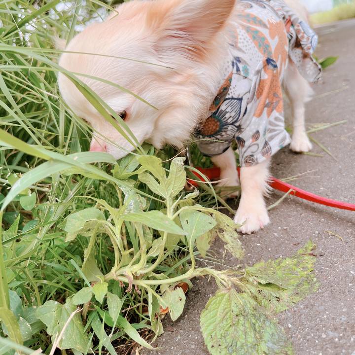 C8bc02ee db76 40cb 879a e38e5bf35966 1655291519062