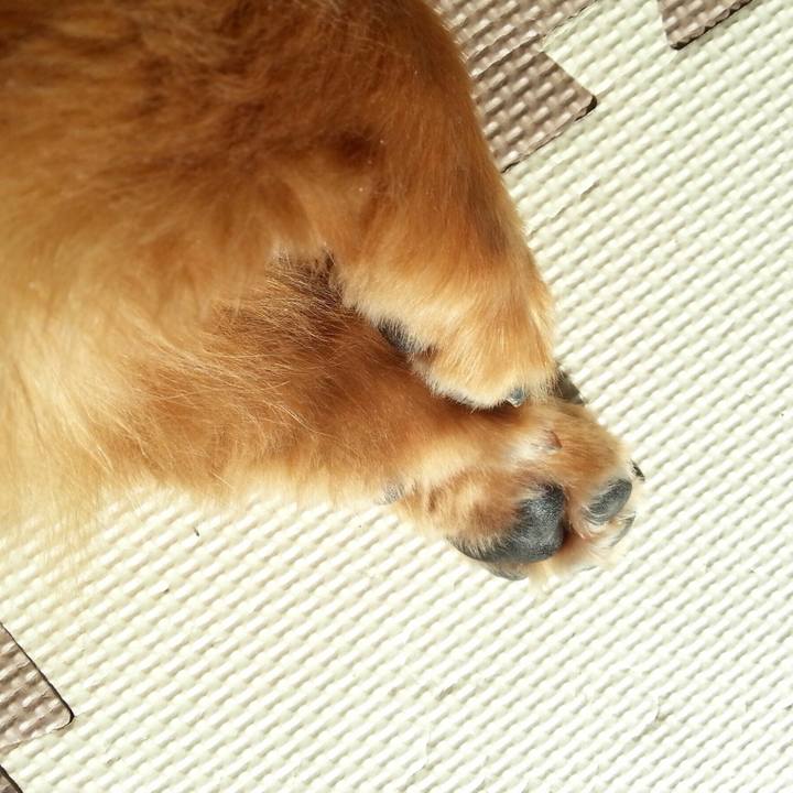 C8bc19de 12b2 4186 96a8 5f6c9678cf4d 1548938889394