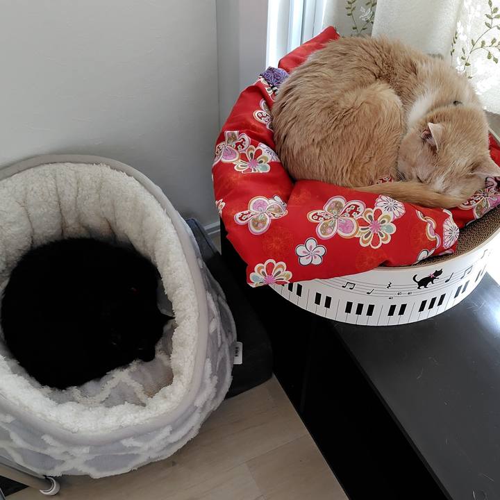 C8bc2dff aa2d 4f2b 95e5 0b2b93505a4c 1746322147116