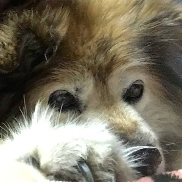 C8bc62cb ada5 4c91 9d72 5969897beec4 1604772138214