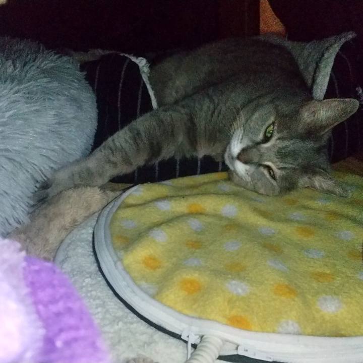 C8bc9527 96bb 4169 9c11 d86754f25e86 1636593558489