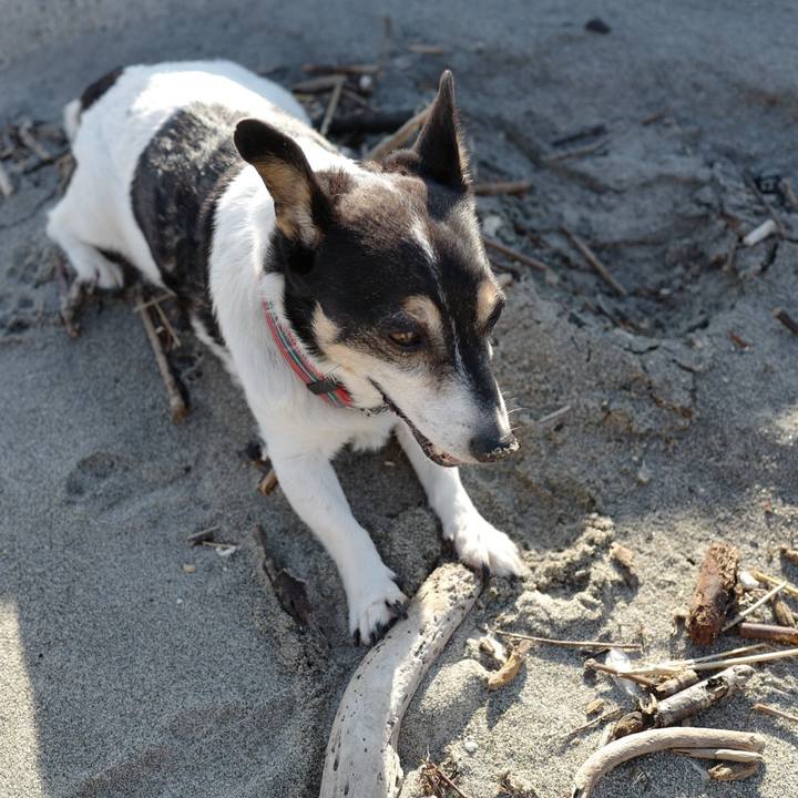 C8bc9a58 a993 4c57 a814 92edf429908d 1569556546194